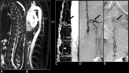 Fig 7.