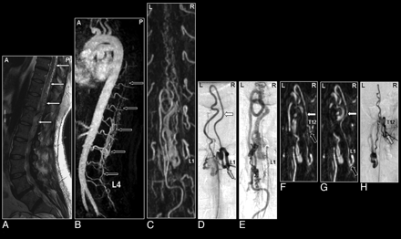 Fig 8.