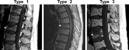Fig 1.