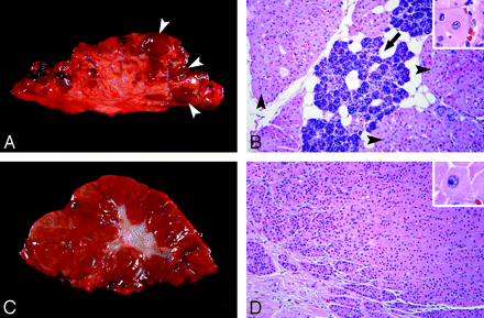 Fig 2.