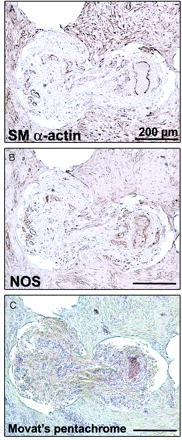 Fig 7.