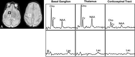Fig 1.