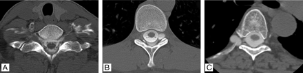 Fig 1.
