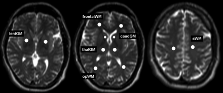 Fig 1.