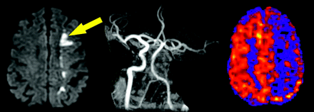 Fig 1.