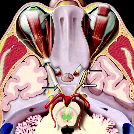Fig 1.