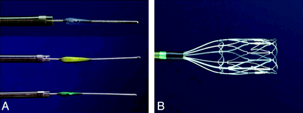 Fig 1.