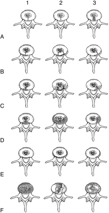 Fig 1.