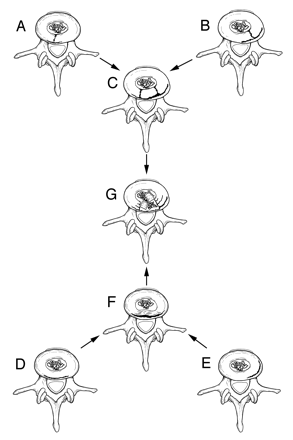 Fig 2.