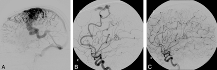 Fig 1.