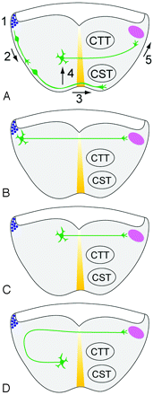 Fig 4.
