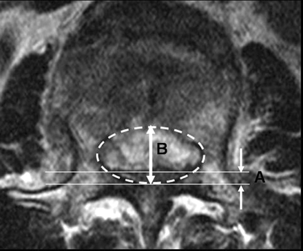 Fig 2.
