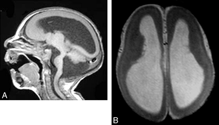 Fig 1.