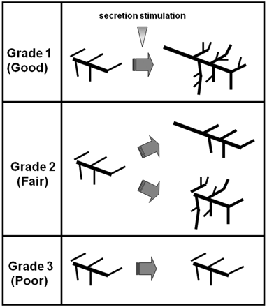 Fig 3.