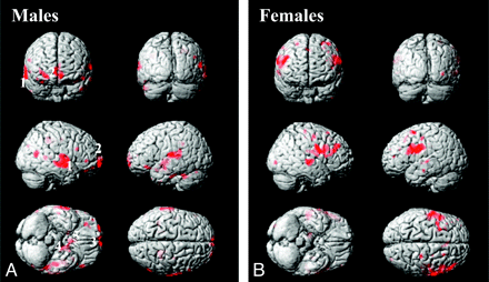 Fig 1.