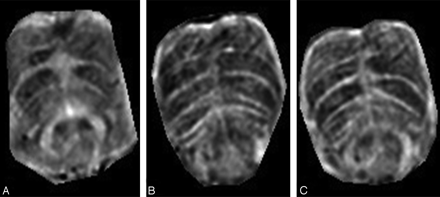 Fig 9.