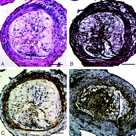 Fig 3.