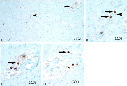 Fig 3.