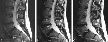 Fig 1.