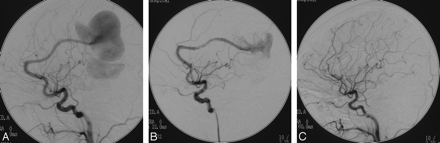 Fig 2.