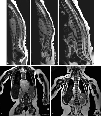 Fig 7.