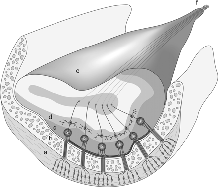 Fig 5.
