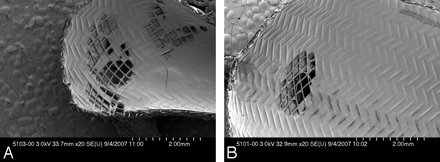 Fig 4.