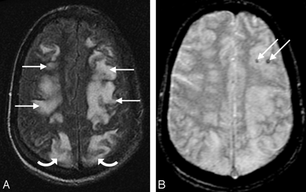 Fig 1.