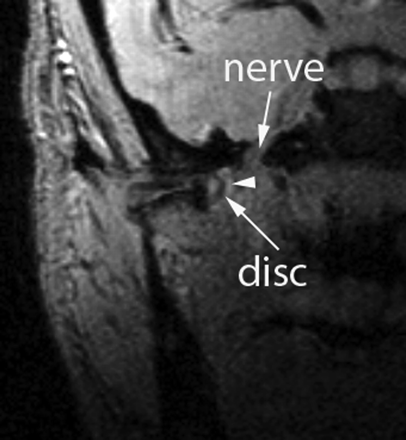 Fig 1.