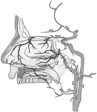 Fig 1.