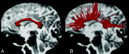 Fig 1.