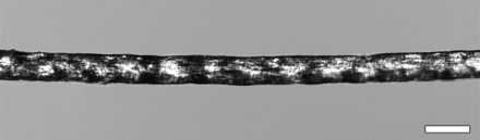 Fig 1.