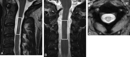 Fig 1.