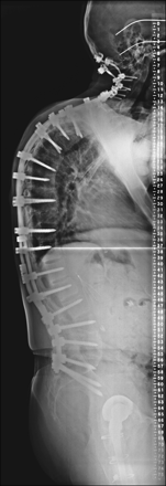 Fig 1.