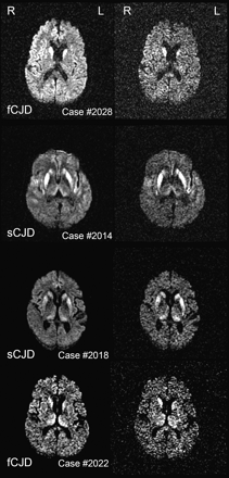 Fig 4.