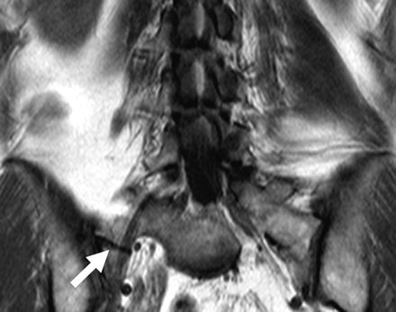 Fig 6.