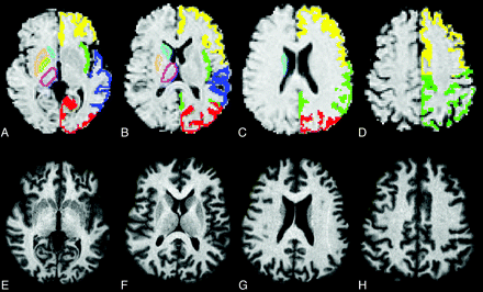 Fig 1.