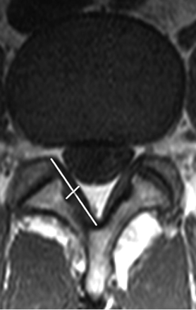 Fig 1.