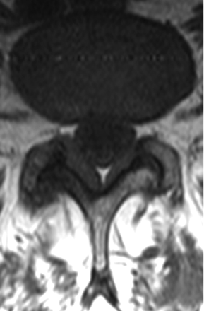 Fig 4.