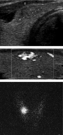Fig 1.