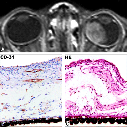 Fig 5.