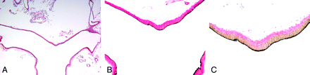 Fig 3.
