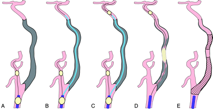 Fig 1.