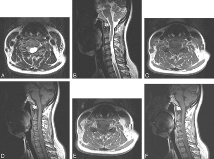 Fig 1.