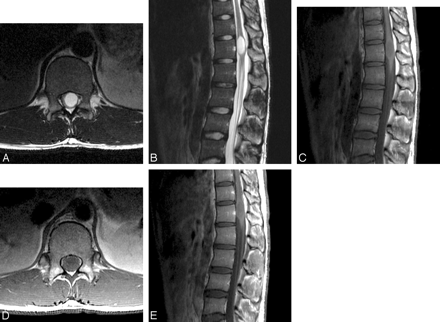 Fig 3.
