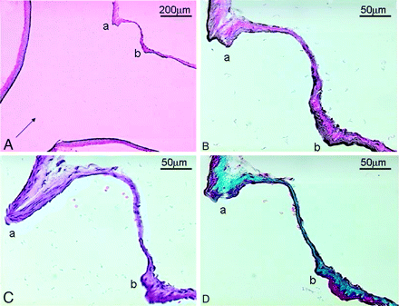 Fig 1.