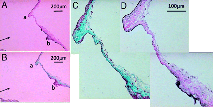 Fig 2.