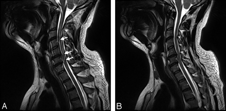 Fig 7.