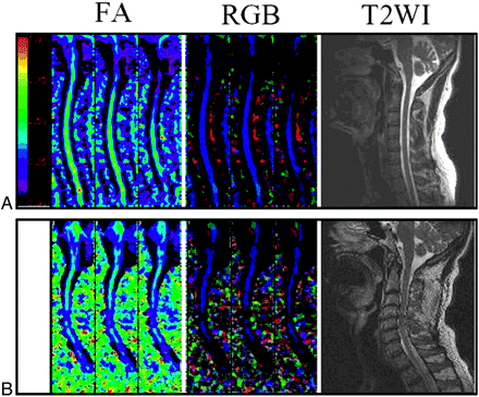 Fig 3.