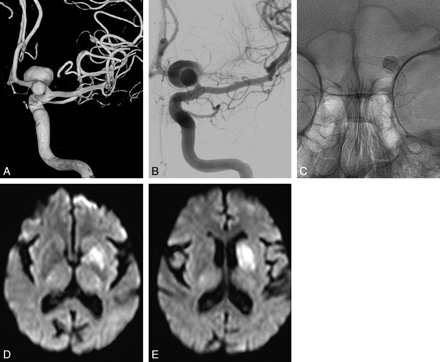 Fig 1.